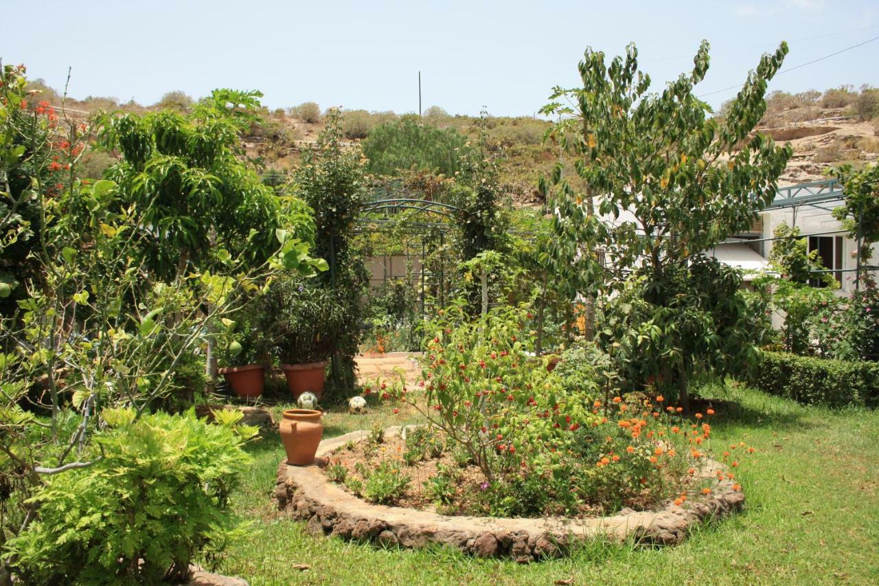 Cueva Sasha Guest House San Miguel de Abona Exterior photo